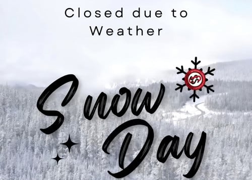 Featured Story Image