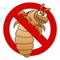 Lice